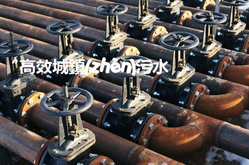 “高效城鎮(zhèn)污水處理流程，守護碧水藍天新篇章”